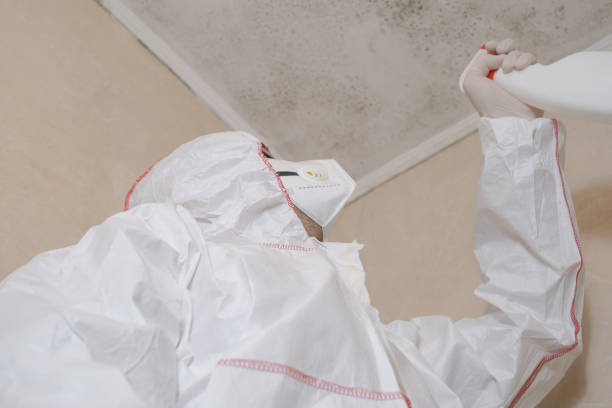 Best Preventive Mold Services in Groton, SD